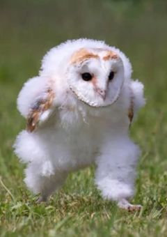 第3回！！！龍琥の小説コンテストー！！！！！！