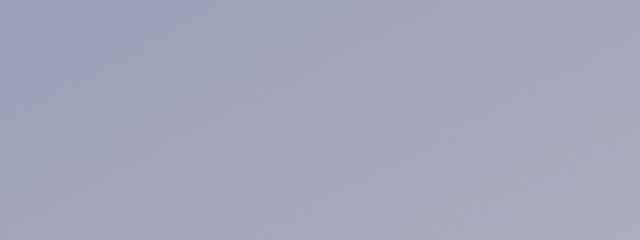 Uli🎼🪡さんの壁紙画像