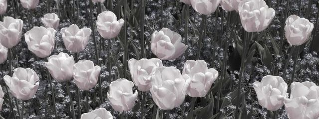 민지さんの壁紙画像