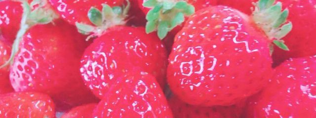 しほさんの壁紙画像