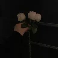 beimaさんのアイコン画像