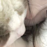 chiyuvxx.さんのアイコン画像