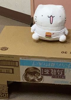 おいらの性癖話