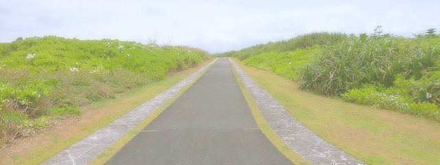 🍎林檎🍏さんの壁紙画像