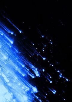 🌈走召❗️雑多ィラス├部屋𖤐 ·̩͙🌟