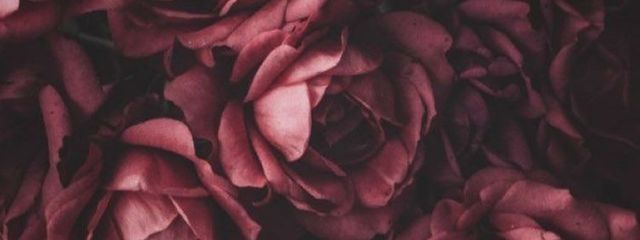 kuro.@自己紹介欄にお知らせありさんの壁紙画像