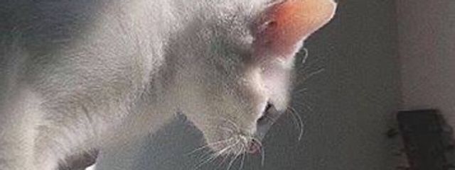 지 아 .さんの壁紙画像