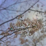 結華さんのアイコン画像