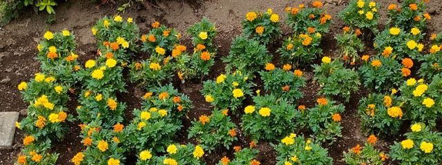 ⛄📗💪🧴ともみmskyktさんの壁紙画像