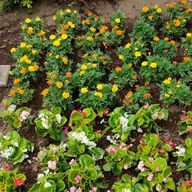 ⛄📗💪🧴ともみmskyktさんのアイコン画像