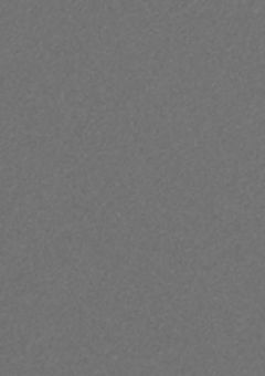 無 気 力 で 何 が 悪 い 。