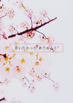 言いたかったありがとう