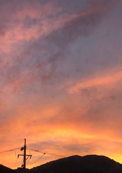 イラストとか色々