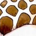 トラファルガー・ロー