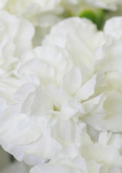 THE RAMPAGEの……紅一点ちゃん？…は可愛すぎる