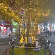 クルミさんのアイコン画像