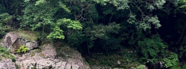 おもち(^∀^)さんの壁紙画像
