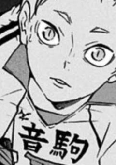 音駒マネ、低身長しか受けつけない件。