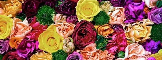 ひろさんの壁紙画像