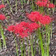 ひろさんのアイコン画像