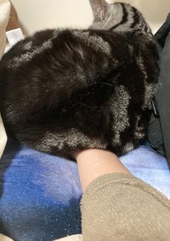 相互限定部屋〜