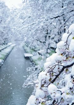 World without sound．