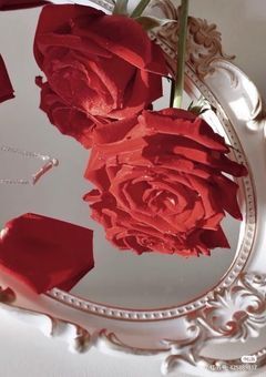 つばちゃんの日記帳𓏸𓈒𓂃