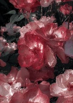 幸せな失恋の方法。『njsj』