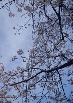 オリジナルの○○を