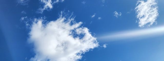 優埜(ゆの) / フォロバ目的やめて💦さんの壁紙画像