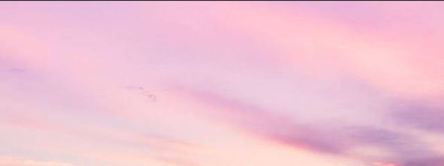 ﾊﾟｲﾅﾎﾟ-さんの壁紙画像