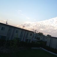 竜田揚げ✨さんのアイコン画像