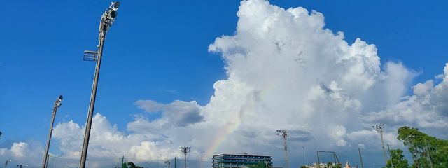 ちうさんの壁紙画像