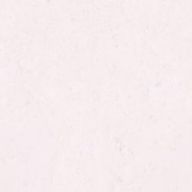 しんびじうむ(無期限休止中)さんのアイコン画像