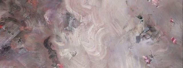 真神 蓮さんの壁紙画像