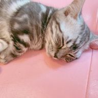 Kanonさんのアイコン画像