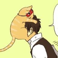 ねこさんのアイコン画像
