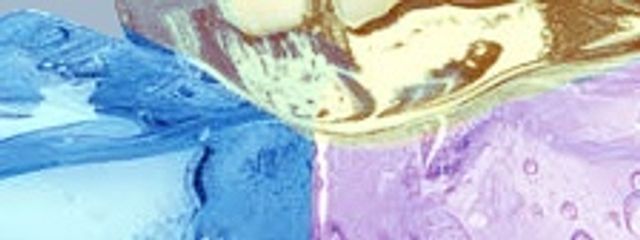 しう🐝🕶@低浮上さんの壁紙画像