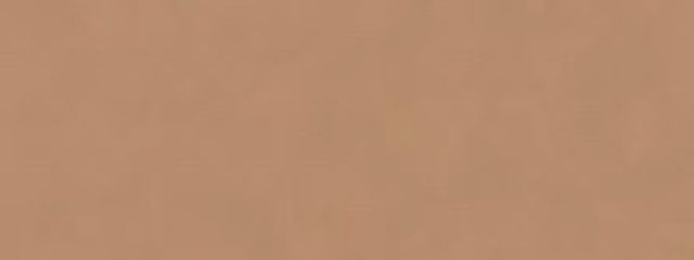 (\推♡しが☆尊い/) 🎪🦩アイコン無しフォロバ❌さんの壁紙画像