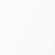 (\推♡しが☆尊い/) 🎪🦩アイコン無しフォロバ❌さんのアイコン画像