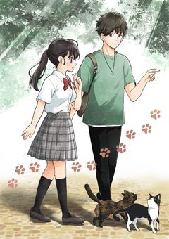 猫が導く恋しるべ