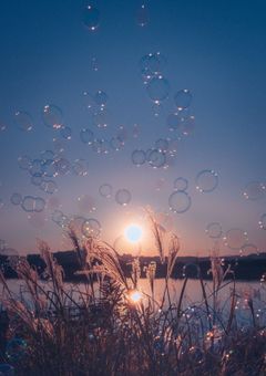 𝚃𝚛𝚊𝚒𝚗𝚎𝚎 𝚁𝚘𝚘𝚖