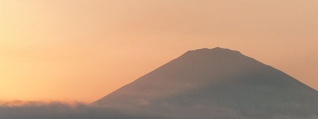 月成いと ホヌ様の使いさんの壁紙画像