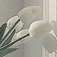 Luciaさんのアイコン画像