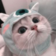 はせさんのアイコン画像