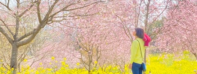Lukanaさんの壁紙画像