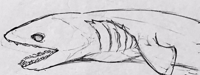 なるみら@低浮上 ほぼ居ないさんの壁紙画像