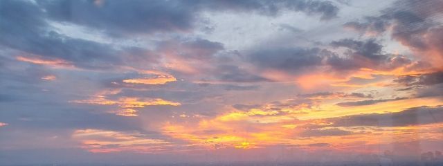 瓶さんの壁紙画像