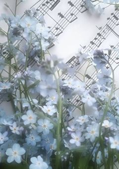 @ ☪︎ 𝐫𝐨𝐨𝐦 : 𝐧𝐞𝐧𝐚 ⋆꙳.