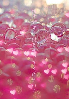 好きです!付き合ってください!